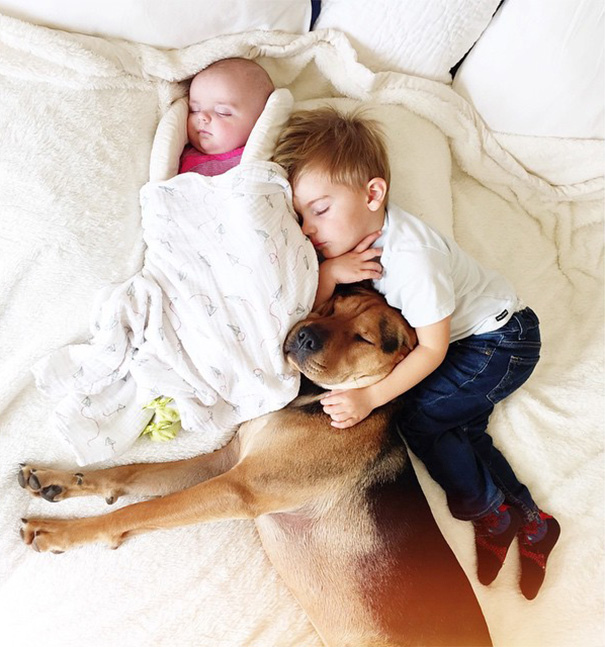 nino-bebe-cachorro-siesta-fotos-jessica-shyba (5)