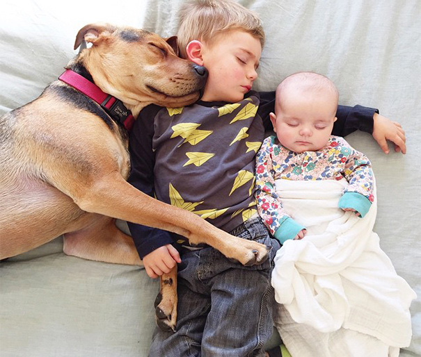 nino-bebe-cachorro-siesta-fotos-jessica-shyba (9)