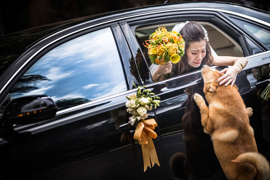 premios-concurso-fotos-bodas-2014-ispwp (9)