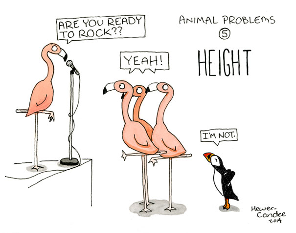 problemas-animales-geoffrey-hewer-candee (6)