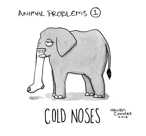 problemas-animales-geoffrey-hewer-candee (9)