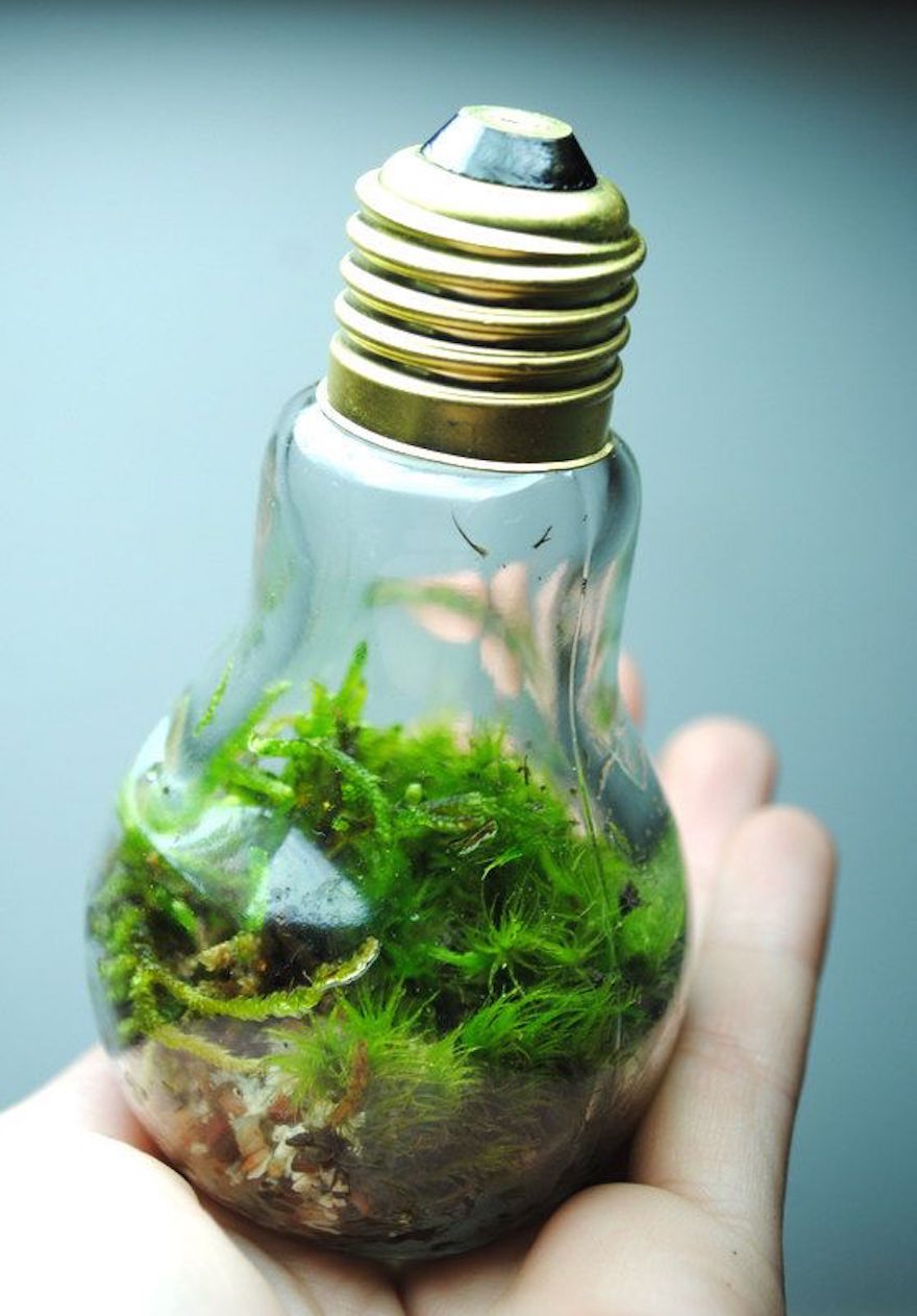 reciclar-bombillas-manualidades- (2)