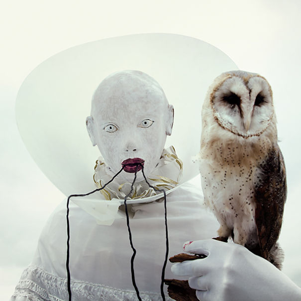 wouderland-fotos-surrealisticas-taxidermia-mothmeister (1)