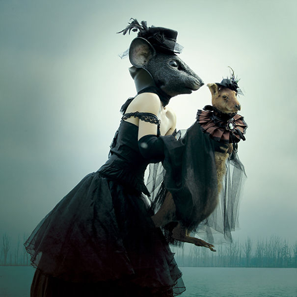 wouderland-fotos-surrealisticas-taxidermia-mothmeister (10)