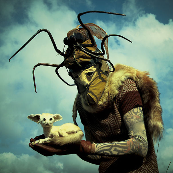 wouderland-fotos-surrealisticas-taxidermia-mothmeister (11)