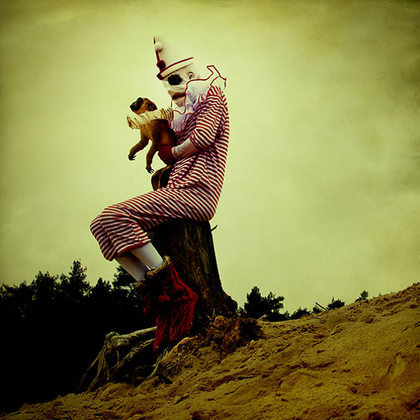 wouderland-fotos-surrealisticas-taxidermia-mothmeister (14)