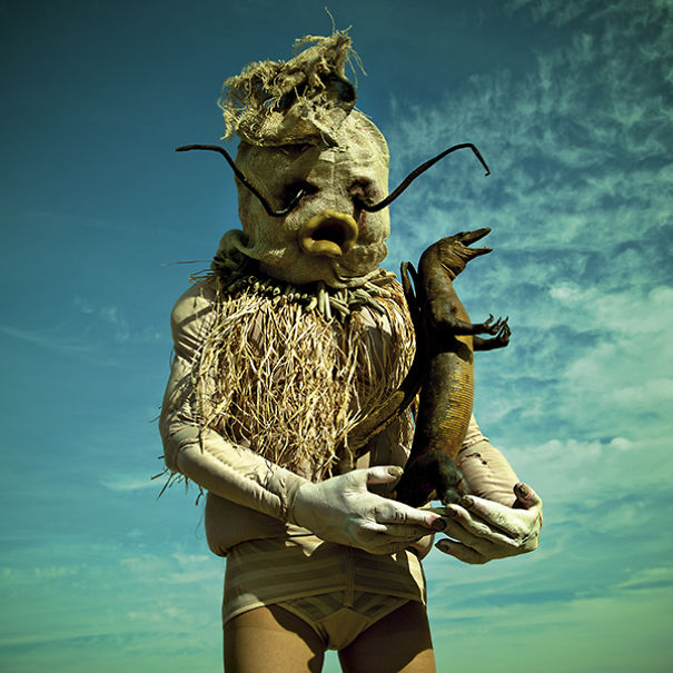 wouderland-fotos-surrealisticas-taxidermia-mothmeister (15)