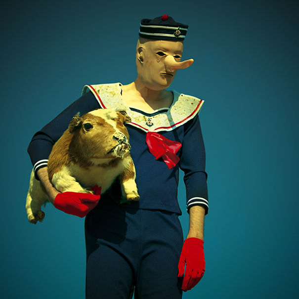 wouderland-fotos-surrealisticas-taxidermia-mothmeister (18)