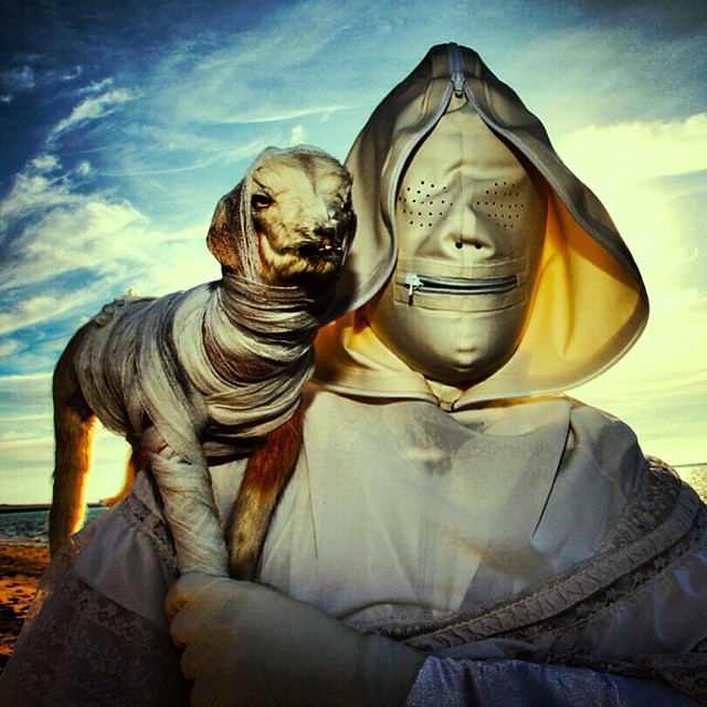 wouderland-fotos-surrealisticas-taxidermia-mothmeister (2)
