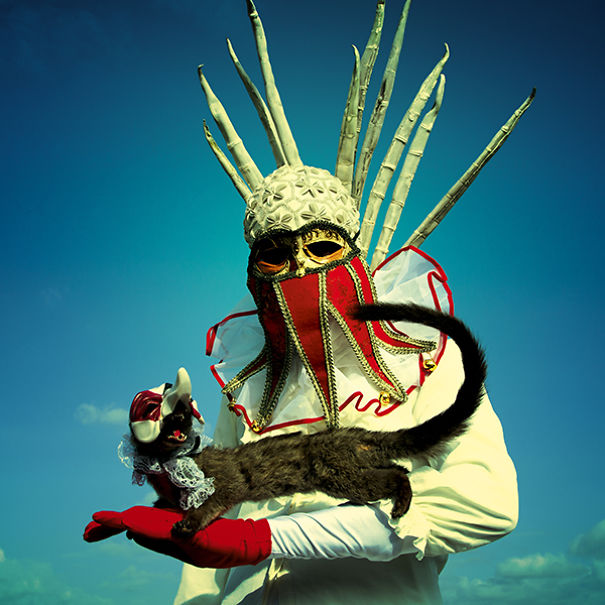 wouderland-fotos-surrealisticas-taxidermia-mothmeister (21)