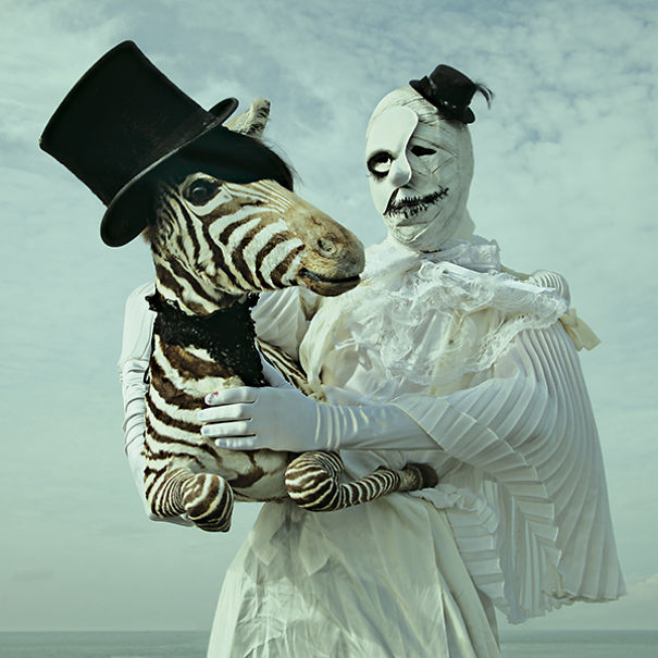 wouderland-fotos-surrealisticas-taxidermia-mothmeister (22)