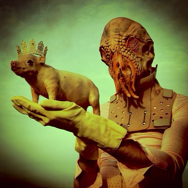 wouderland-fotos-surrealisticas-taxidermia-mothmeister (3)