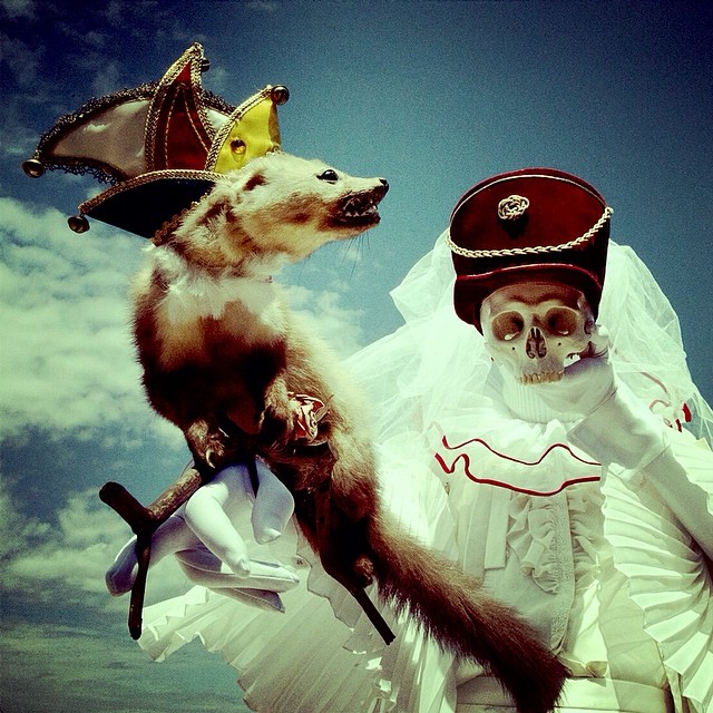 wouderland-fotos-surrealisticas-taxidermia-mothmeister (4)