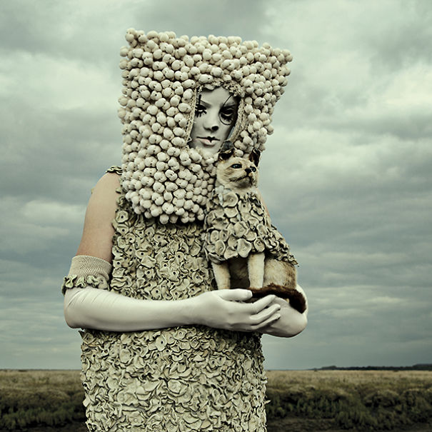 wouderland-fotos-surrealisticas-taxidermia-mothmeister (7)