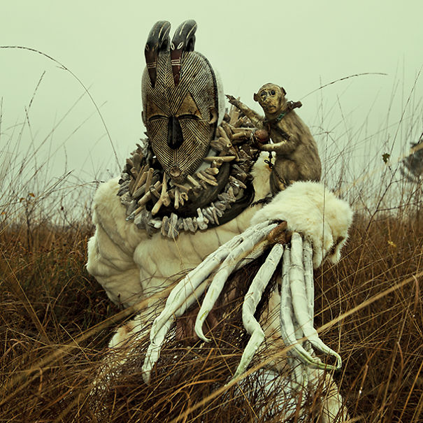 wouderland-fotos-surrealisticas-taxidermia-mothmeister (8)