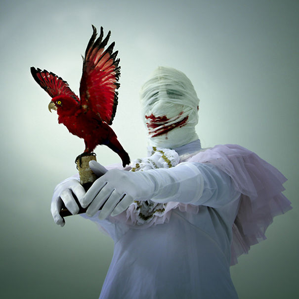 wouderland-fotos-surrealisticas-taxidermia-mothmeister (9)