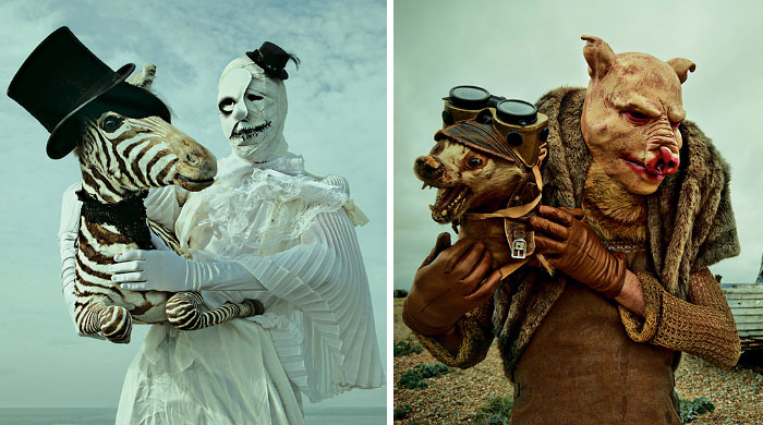 Un mundo surrealista de imaginación, pesadillas y taxidermia