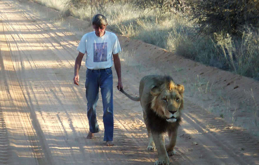 ¿Pierden los animales el miedo a los depredadores tras contacto humano?