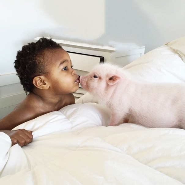 amistad-nina-libby-cerdito-pearl (1)