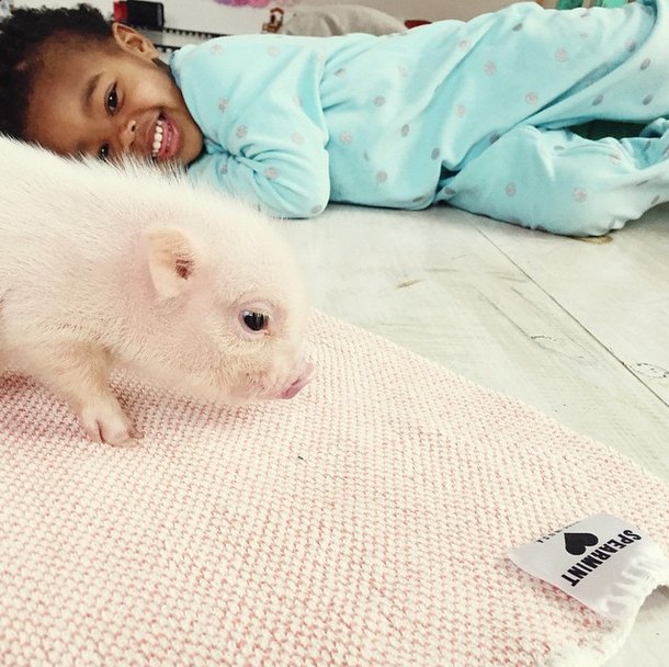 amistad-nina-libby-cerdito-pearl (15)