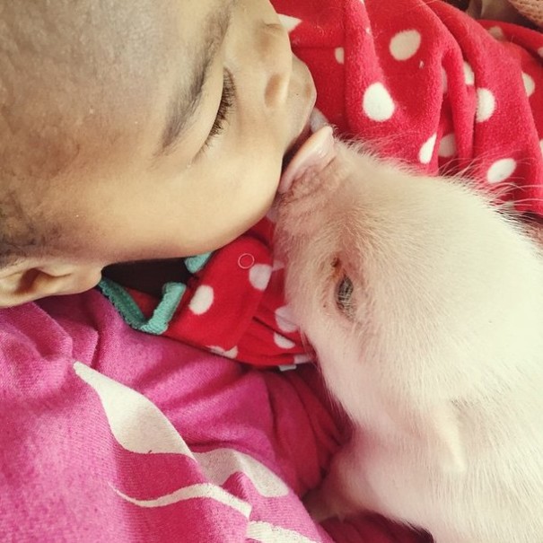 amistad-nina-libby-cerdito-pearl (16)