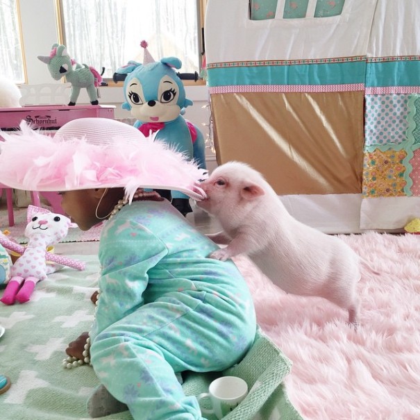 amistad-nina-libby-cerdito-pearl (2)