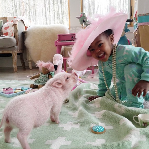 amistad-nina-libby-cerdito-pearl (3)