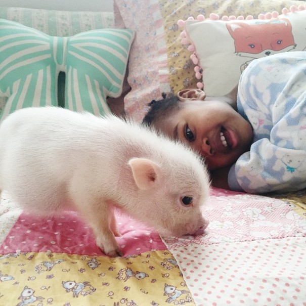 amistad-nina-libby-cerdito-pearl (7)