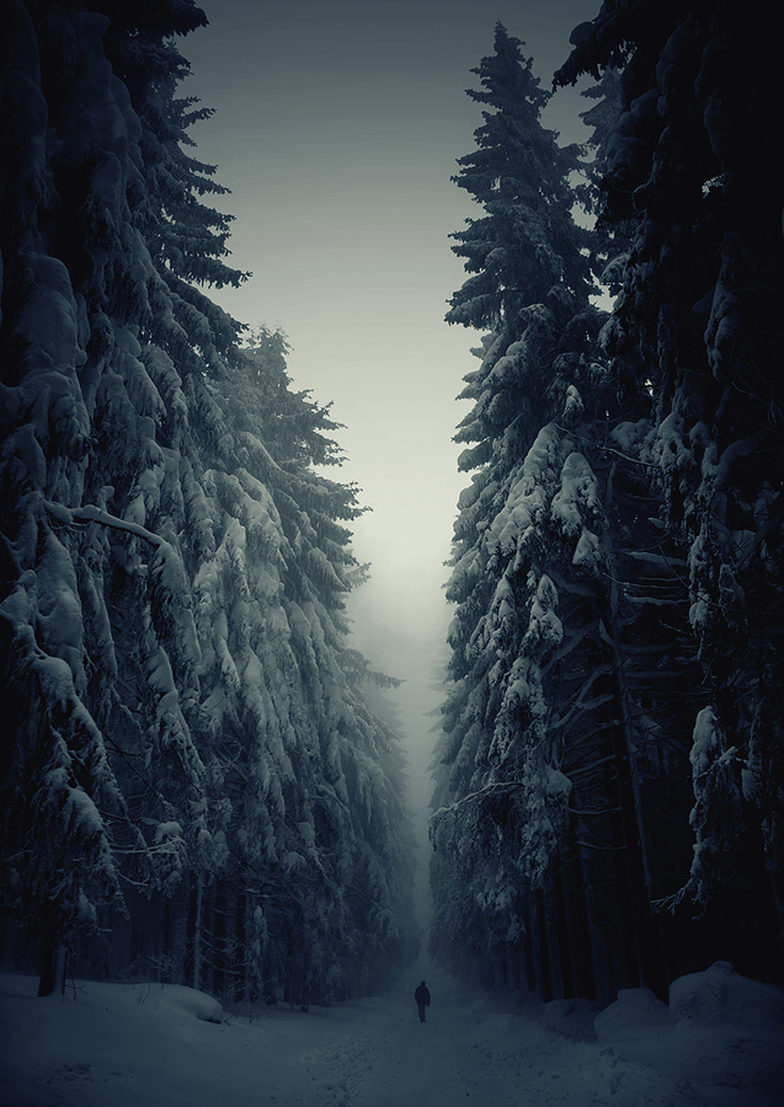 bosques-misteriosos (1)
