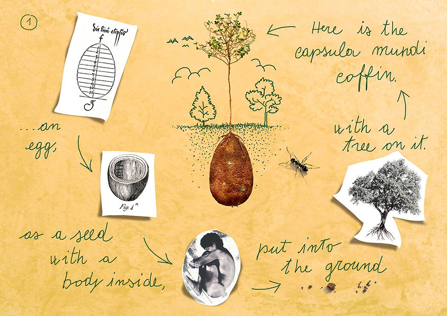 capsulas-biodegradables-enterrar-fallecidos-arboles-capsula-mundi (1)