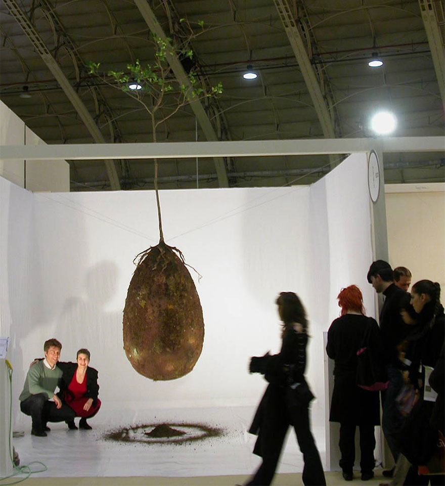 capsulas-biodegradables-enterrar-fallecidos-arboles-capsula-mundi (2)