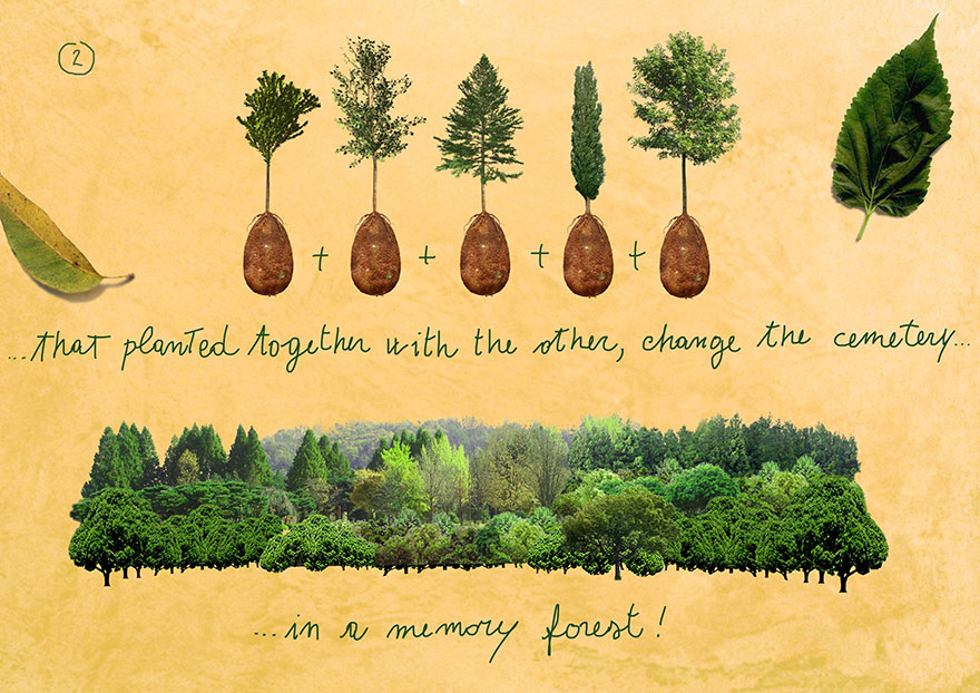 capsulas-biodegradables-enterrar-fallecidos-arboles-capsula-mundi (5)