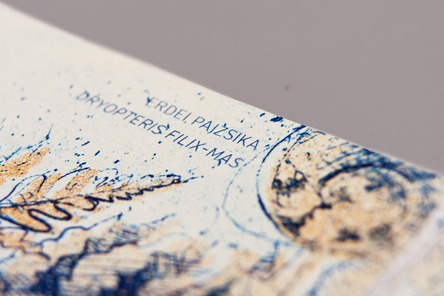 diseno-euros-hungaros-ficticios-barbara-bernat (11)
