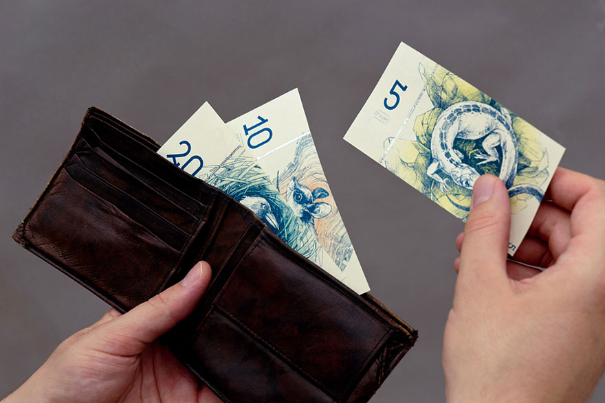 diseno-euros-hungaros-ficticios-barbara-bernat (8)