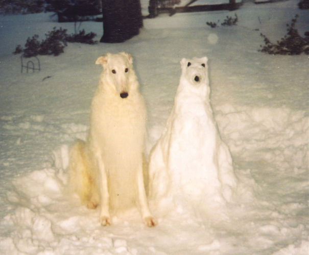 esculturas-nieve-mascotas (1)