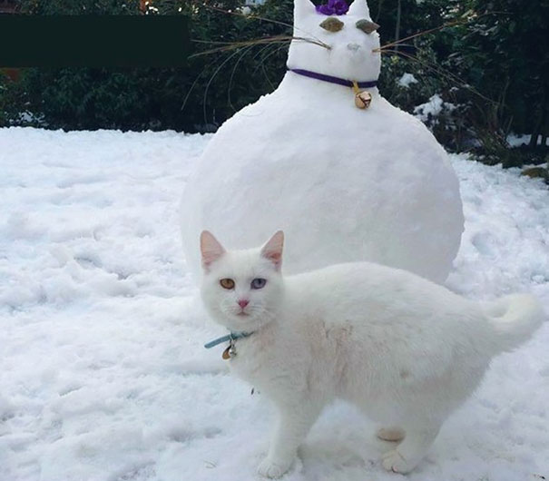 esculturas-nieve-mascotas (4)