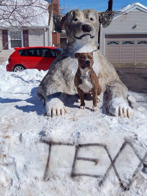esculturas-nieve-mascotas (5)