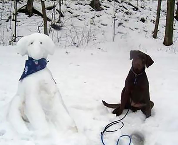 esculturas-nieve-mascotas (7)
