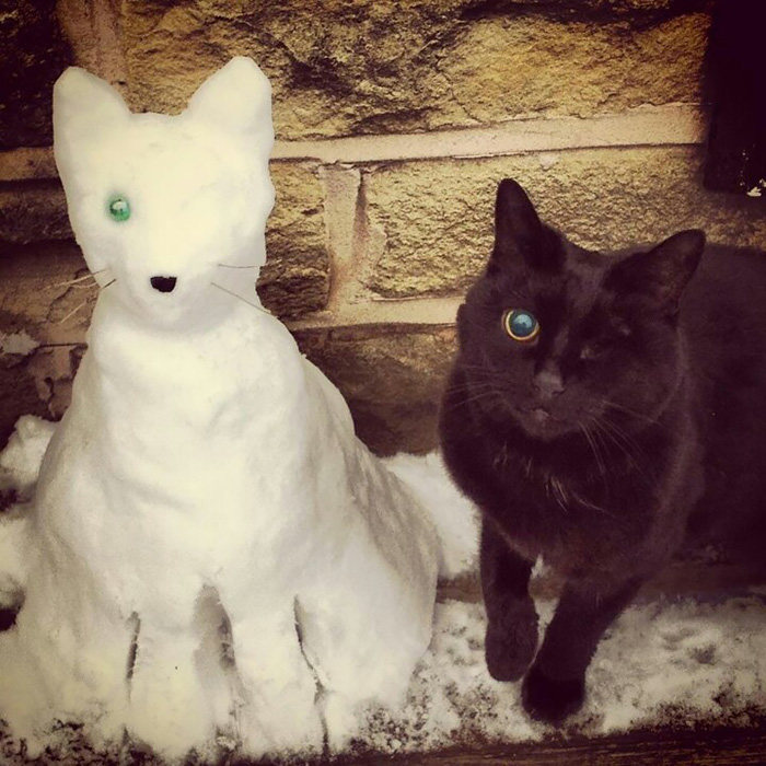 Gente que ha decidido convertir a sus mascotas en esculturas de nieve