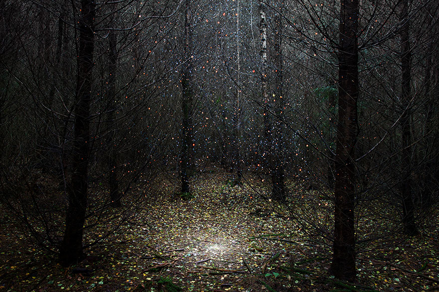fotografia-surreal-bosques-ellie-davis (1)