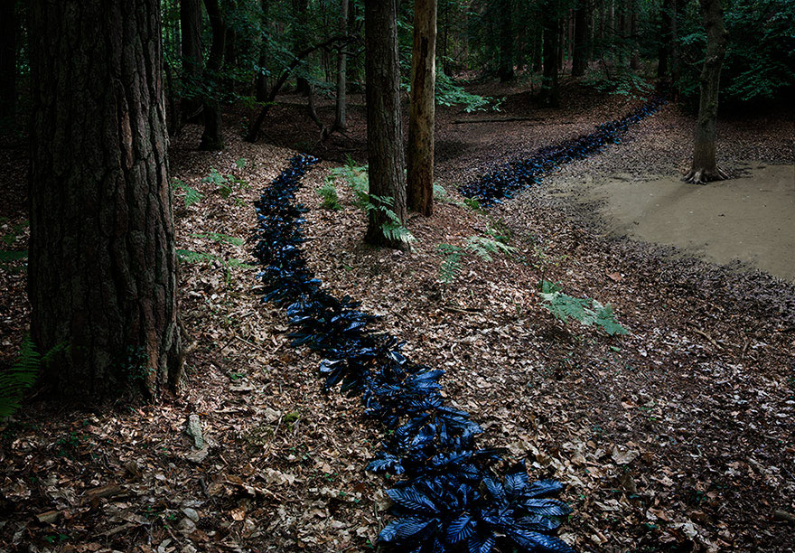 fotografia-surreal-bosques-ellie-davis (11)