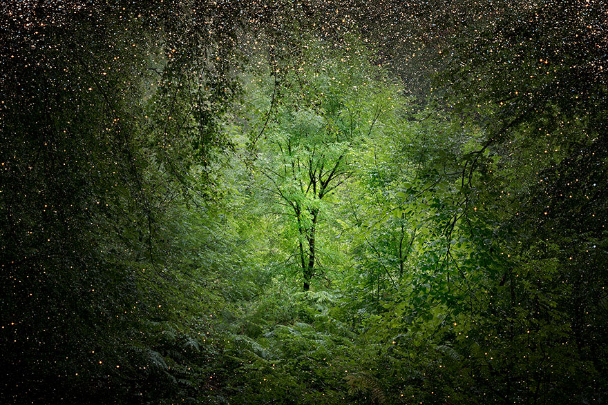 fotografia-surreal-bosques-ellie-davis (12)