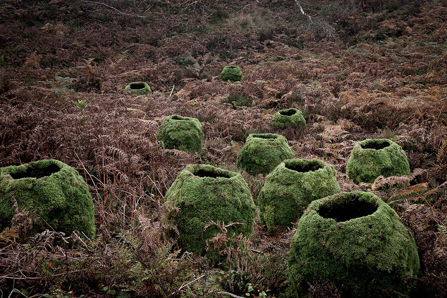 fotografia-surreal-bosques-ellie-davis (14)