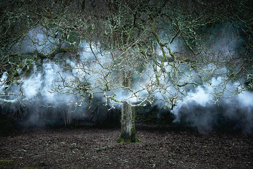 fotografia-surreal-bosques-ellie-davis (16)
