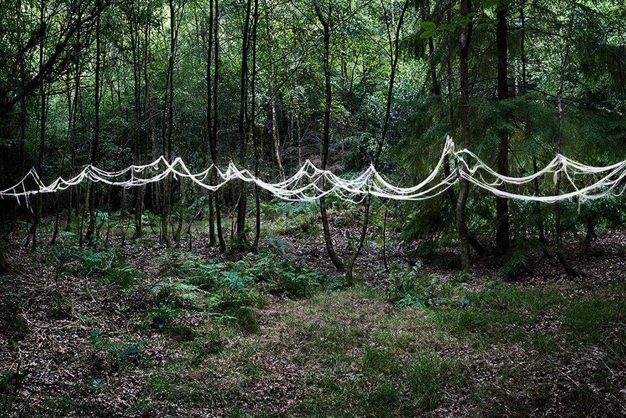 fotografia-surreal-bosques-ellie-davis (18)