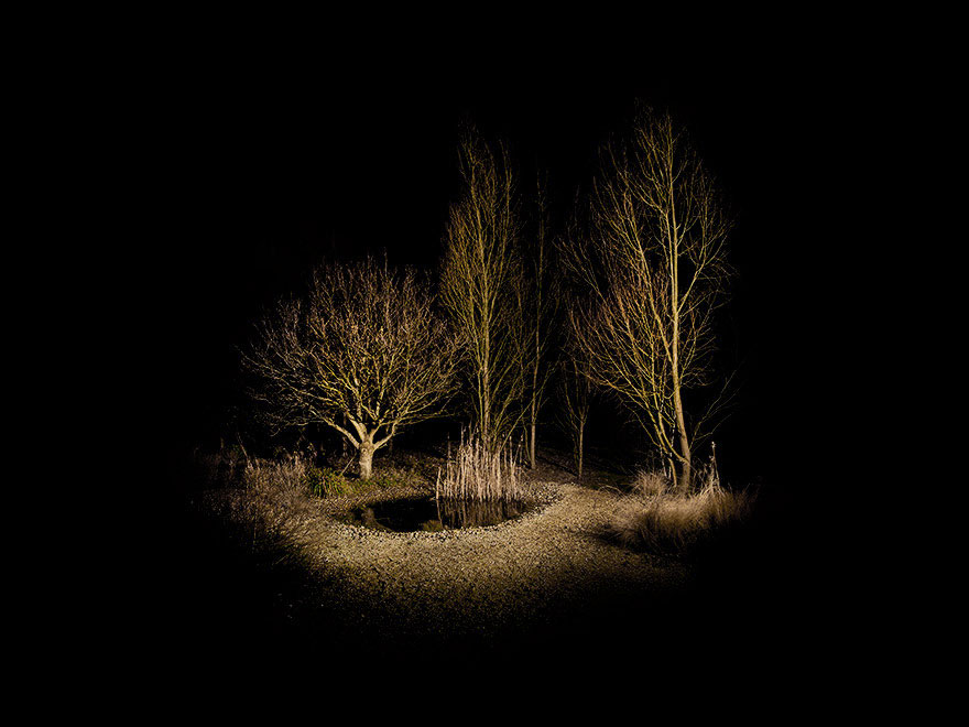 fotografia-surreal-bosques-ellie-davis (19)