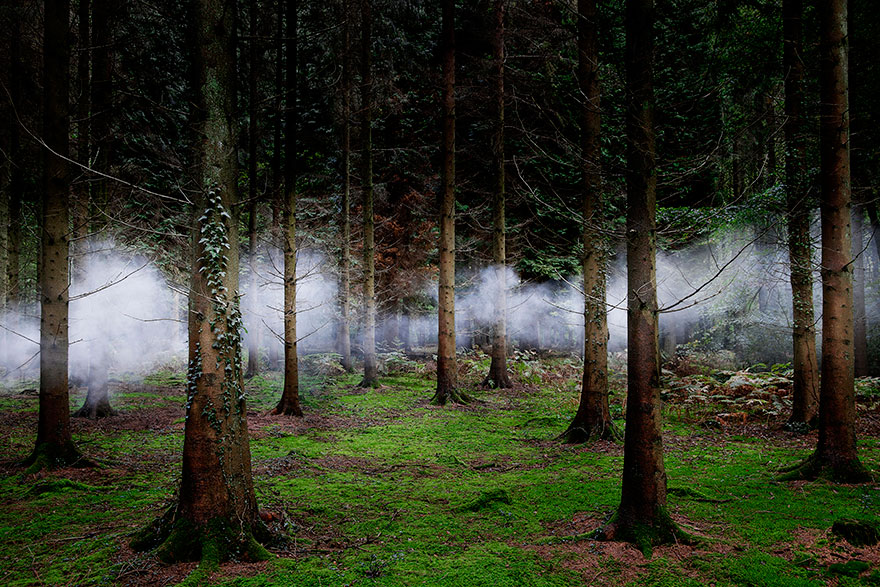 fotografia-surreal-bosques-ellie-davis (2)