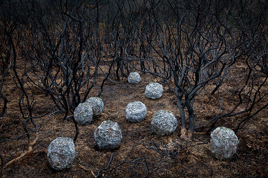 fotografia-surreal-bosques-ellie-davis (20)