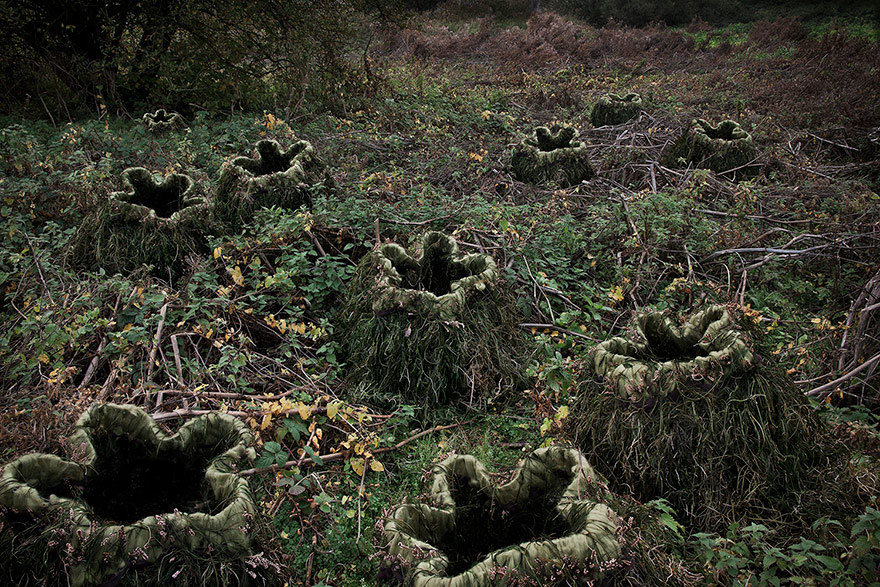 fotografia-surreal-bosques-ellie-davis (4)