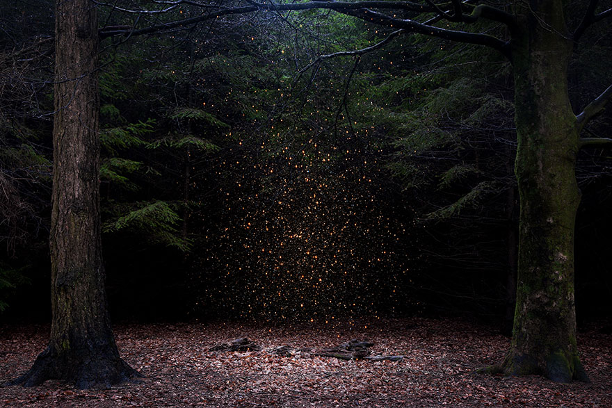 fotografia-surreal-bosques-ellie-davis (7)